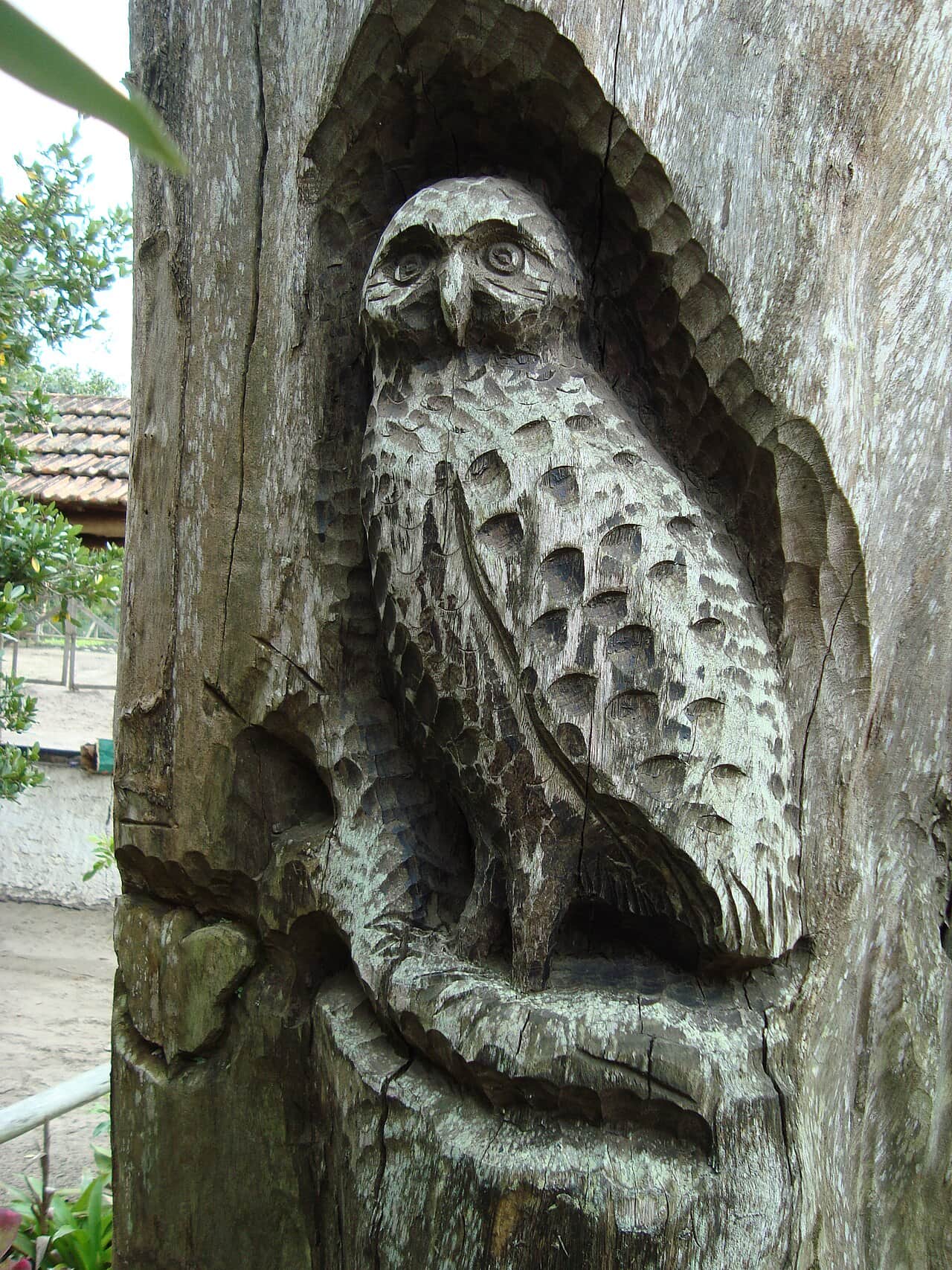 Lagoa do Peri (orla/parque), foto 2